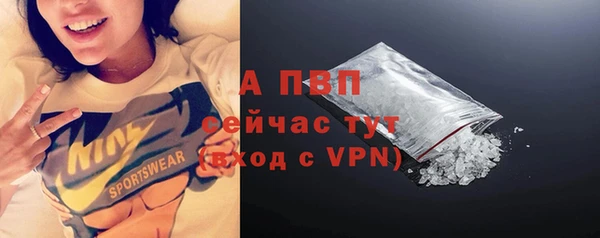ПСИЛОЦИБИНОВЫЕ ГРИБЫ Касимов